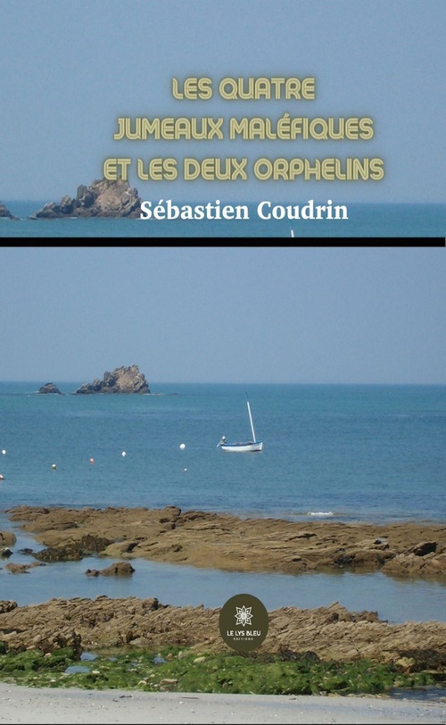 Couverture ebook de Les quatre jumeaux maléfiques et les deux orphelins, de Sébastien Coudrin