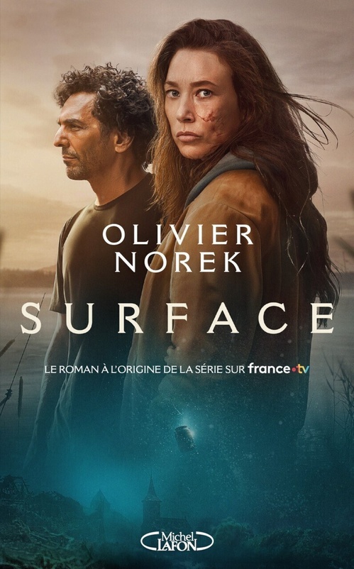 ebook cover of Surface, by Olivier Norek