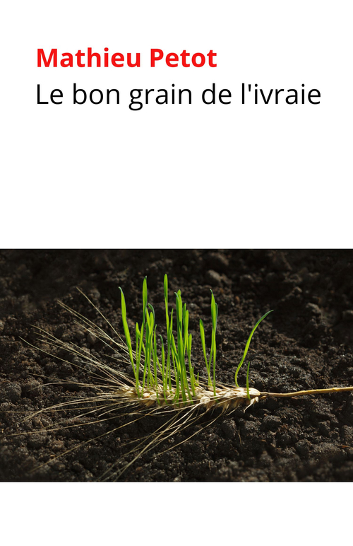ebook cover of Le bon grain de l'ivraie, by Mathieu Petot