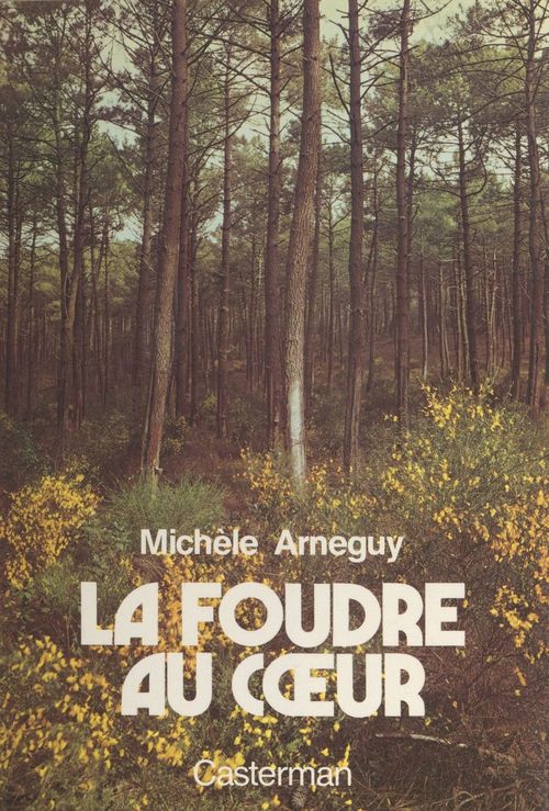 ebook cover of La foudre au coeur, by Michele Arneguy