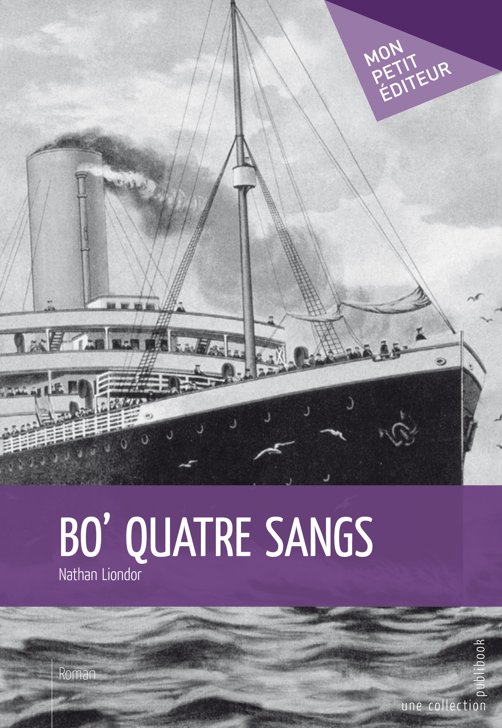 ebook cover of Bo' quatre sangs, by Nathan Liondor