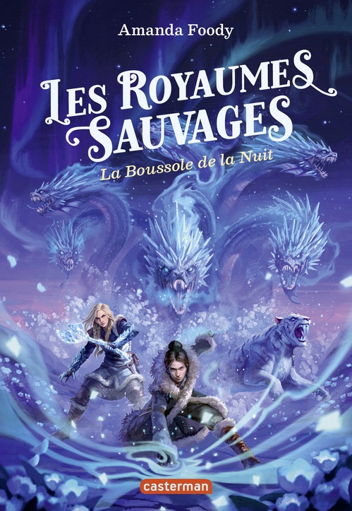 Couverture ebook de Les royaumes sauvages (Tome 4) - La Boussole de la Nuit, de Amanda Foody