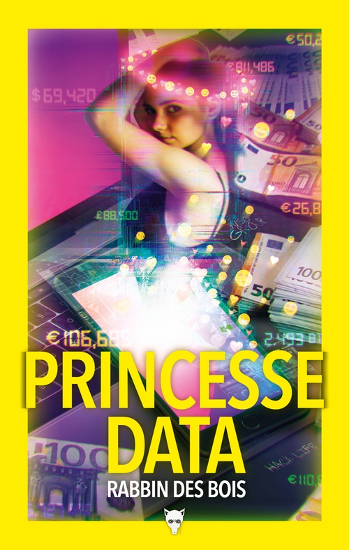 Couverture ebook de Princesse data, de Rabbin Des Bois