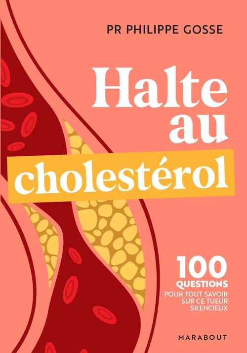 ebook cover of Halte au mauvais choléstérol, by Philippe Gosse