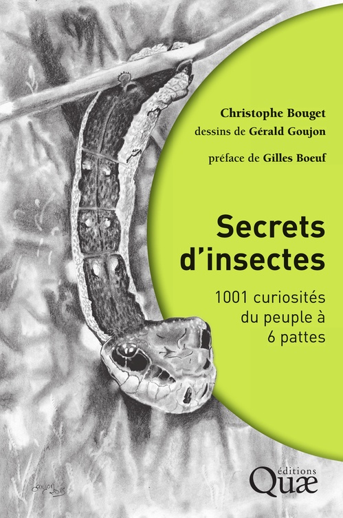 ebook cover of Secrets d'insectes, by Christophe Bouget, Gérald Goujon