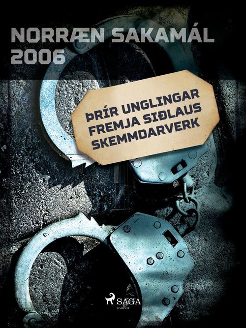 Couverture ebook de Þrír unglingar fremja siðlaus skemmdarverk, de Ymsir Hofundar