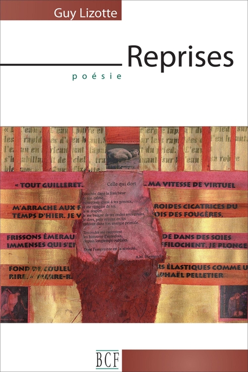 Couverture ebook de Reprises, de Lizotte Guy