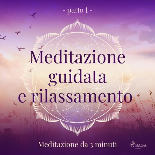 audiobook cover of Meditazione guidata e rilassamento (parte 1) - Meditazione da 3 minuti, by Trine Holt Arnsberg