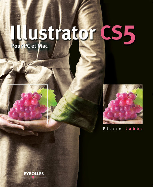 ebook cover of Illustrator CS5, by Pierre Labbe