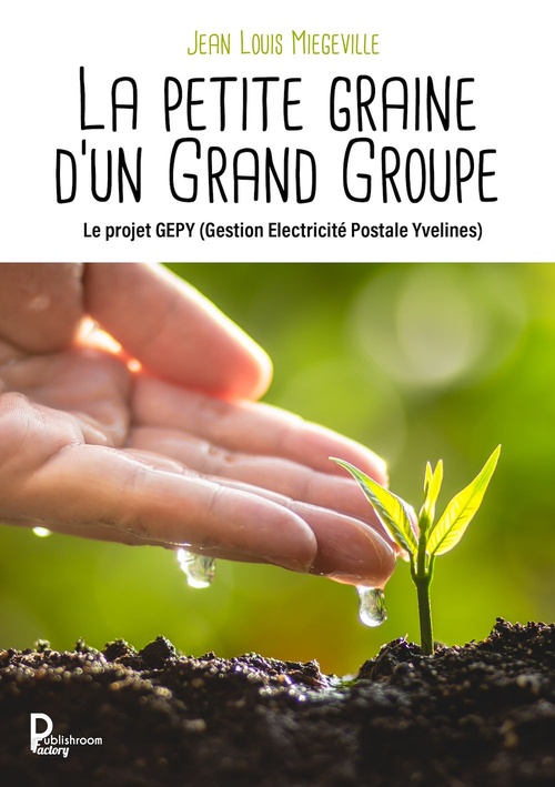 ebook cover of La petite graine d'un Grand Groupe, by Jean-louis Miégeville
