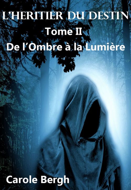 ebook cover of L'HÉRITIER DU DESTIN  TOME II, by Carole Bergh