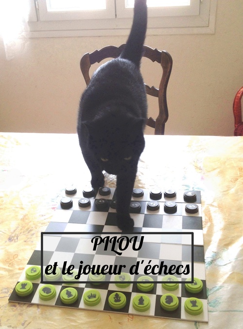 Couverture ebook de PILOU et le joueur d'échecs, de Gaspard Humeau