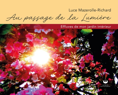 ebook cover of Au passage de la lumière, by Luce Mazerolle-Richard