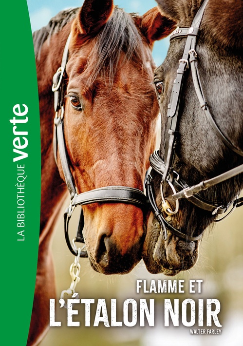ebook cover of L'Etalon noir NED 17 - Flamme et l'Etalon noir, by Walter Farley