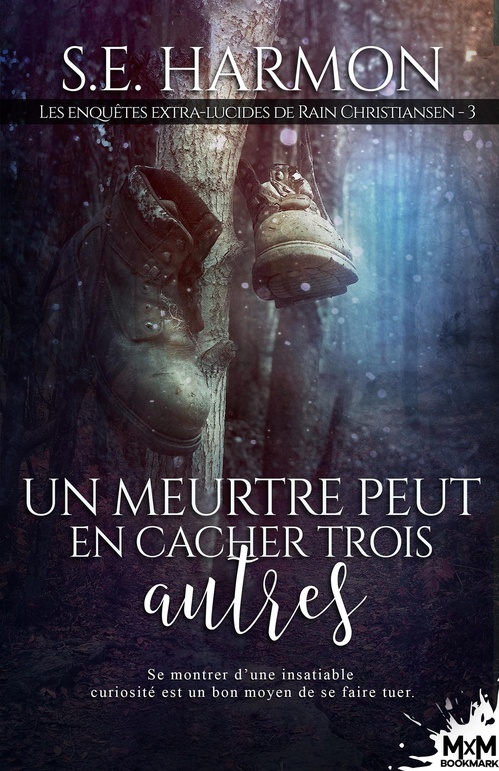 ebook cover of Un meurtre peut en cacher trois autres, by S. E. Harmon