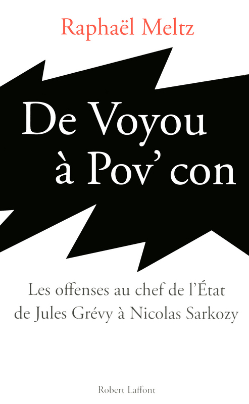 Couverture ebook de De voyou à pov' con, de Raphaël Meltz
