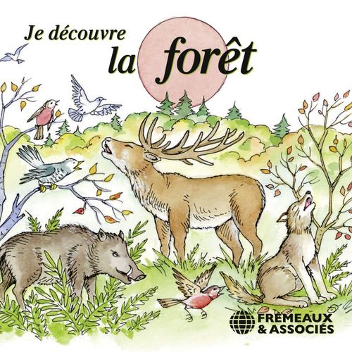 audiobook cover of Je découvre la forêt, by Pierre Huguet