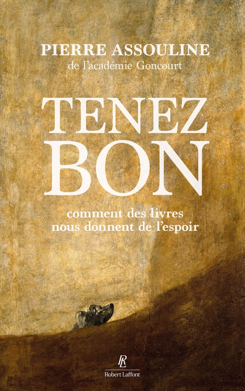 Couverture ebook de Tenez bon - Comment des livres nous donnent de l'espoir, de Pierre Assouline