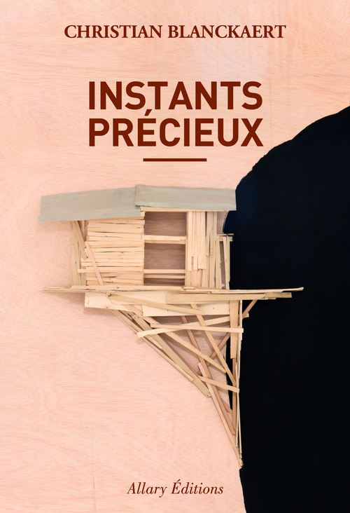 Couverture ebook de Instants précieux, de Christian Blanckaert