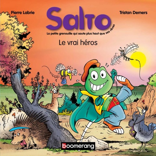 ebook cover of Salto 2 - Le vrai héros, by Labrie Pierre