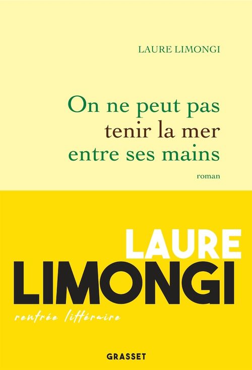ebook cover of On ne peut pas tenir la mer entre ses mains, by Laure Limongi