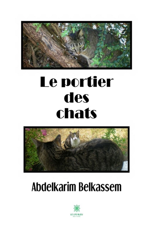 ebook cover of Le portier des chats, by Abdelkarim Belkassem