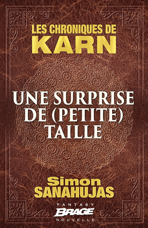 ebook cover of Les Chroniques de Karn : Une surprise de (petite) taille, by Simon Sanahujas