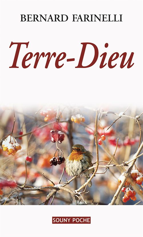 Couverture ebook de Terre-Dieu, de Bernard Farinelli