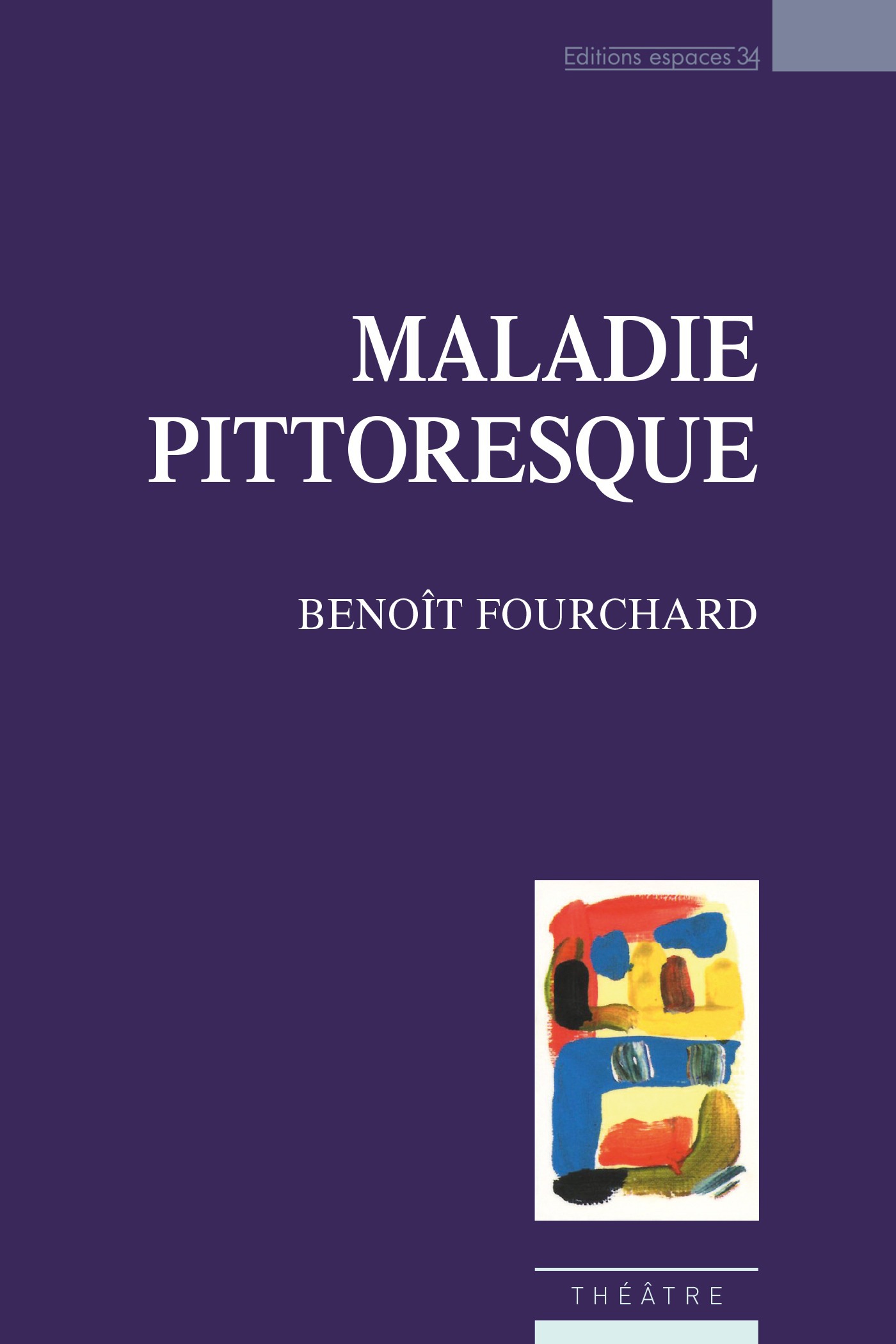 ebook cover of Maladie pittoresque, by Benoît Fourchard