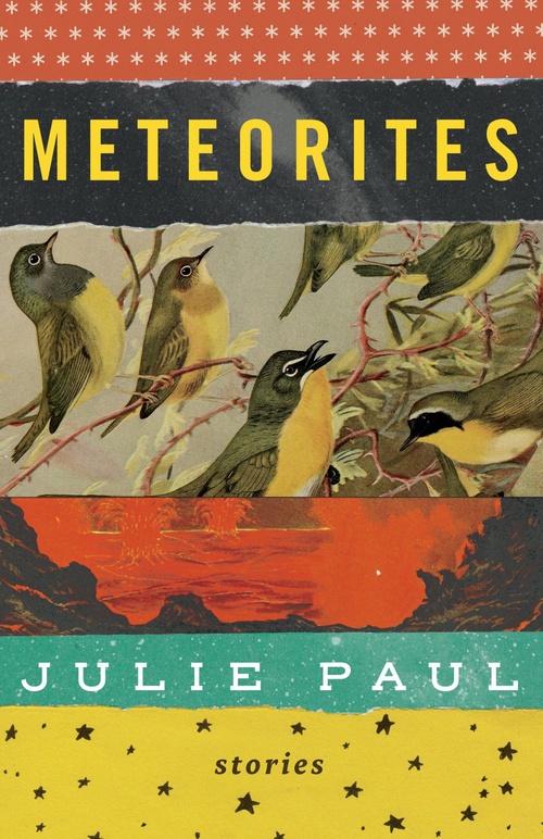 Couverture ebook de Meteorites, de Julie Paul