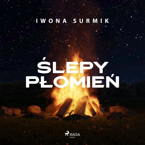 Couverture audiobook de ´Slepy plomie´n, de Iwona Surmik