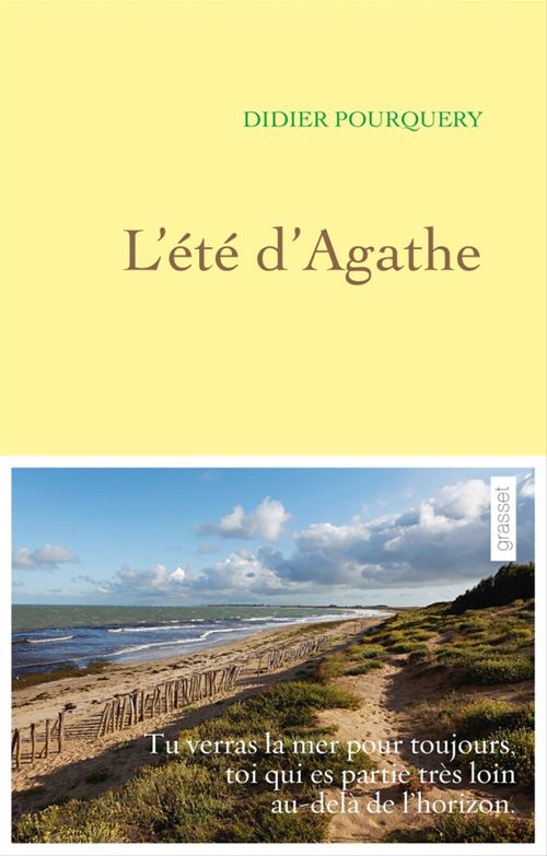 Couverture ebook de L'été d'Agathe, de Didier Pourquery