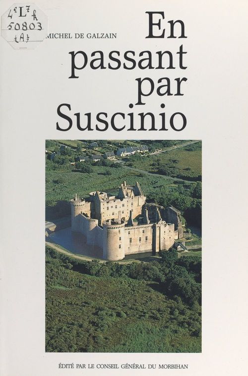 Couverture ebook de En passant par Suscinio, de Michel De Galzain