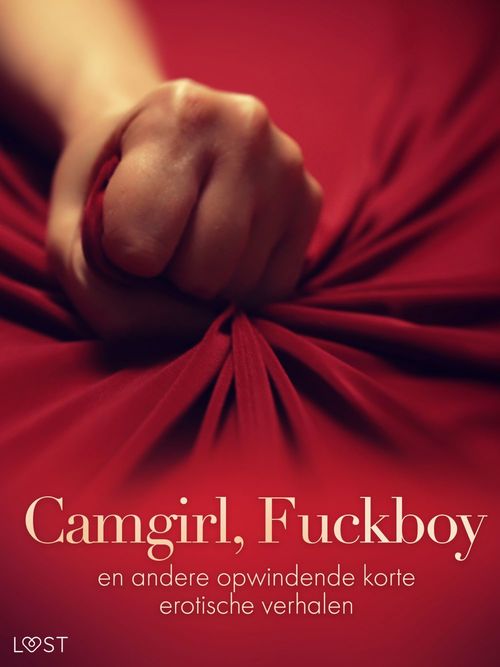 ebook cover of Camgirl, Fuckboy en andere opwindende korte erotische verhalen, by B. J. Hermansson, Camille Bech, Fabien Dumaître, Katja Slonawski, Lisa Vild, Malin Edholm