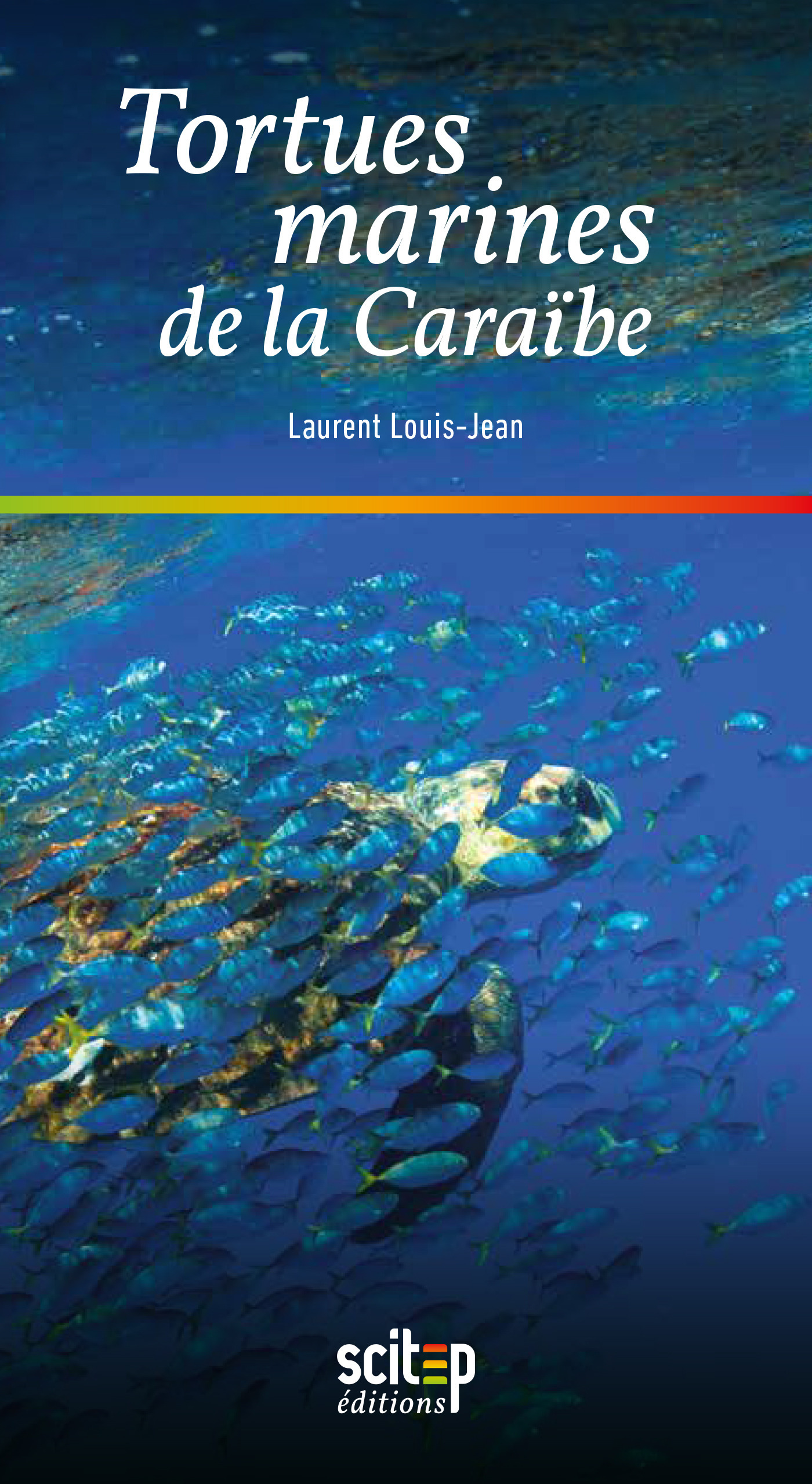 ebook cover of Tortues marines de la Caraïbe, by Laurent Louis-jean