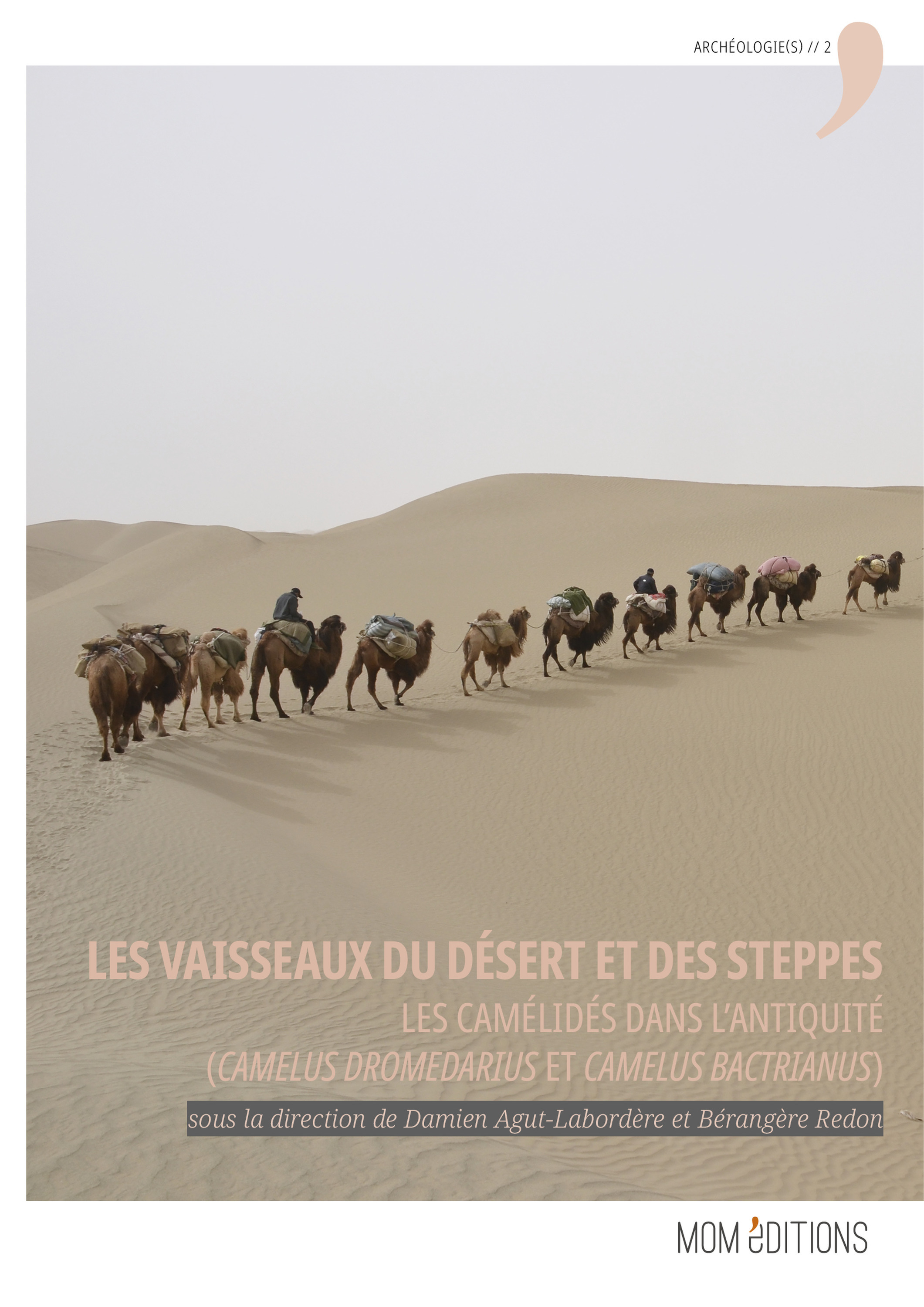 Couverture ebook de Les vaisseaux du désert et des steppes, de