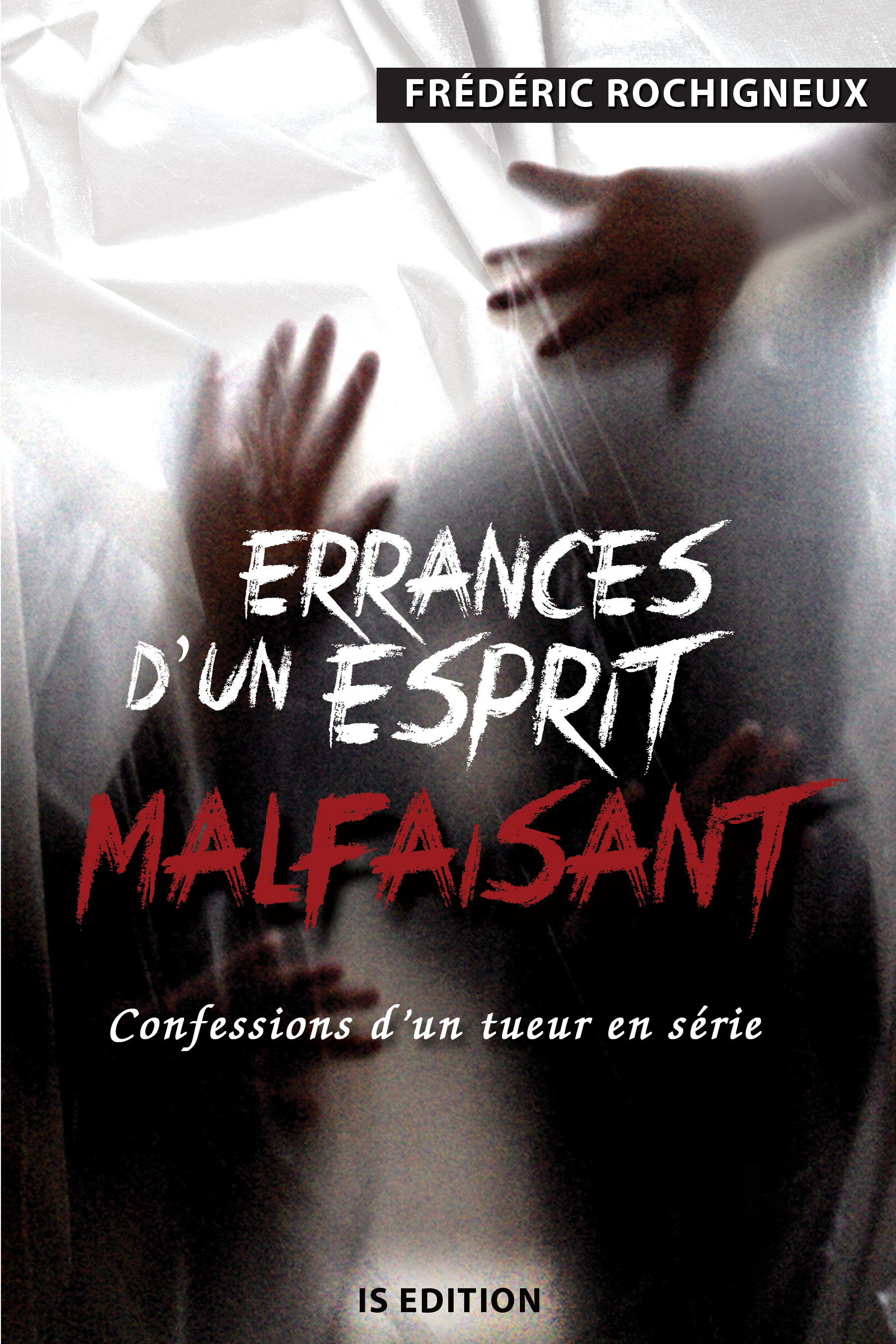 ebook cover of Errances d'un esprit malfaisant, by Rochigneux Frederic