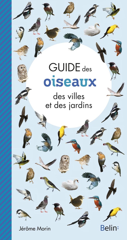 Couverture ebook de Guide des oiseaux des villes et des jardins, de Jérôme Morin