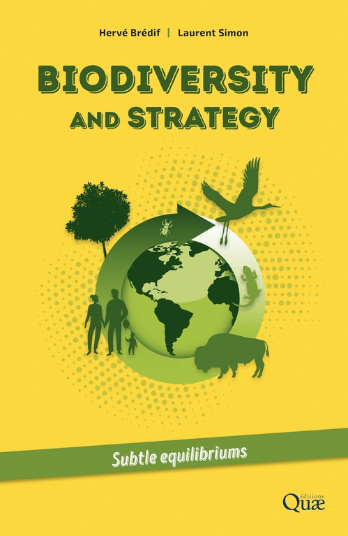 Couverture ebook de Biodiversity and strategy, de Hervé Brédif, Laurent Simon