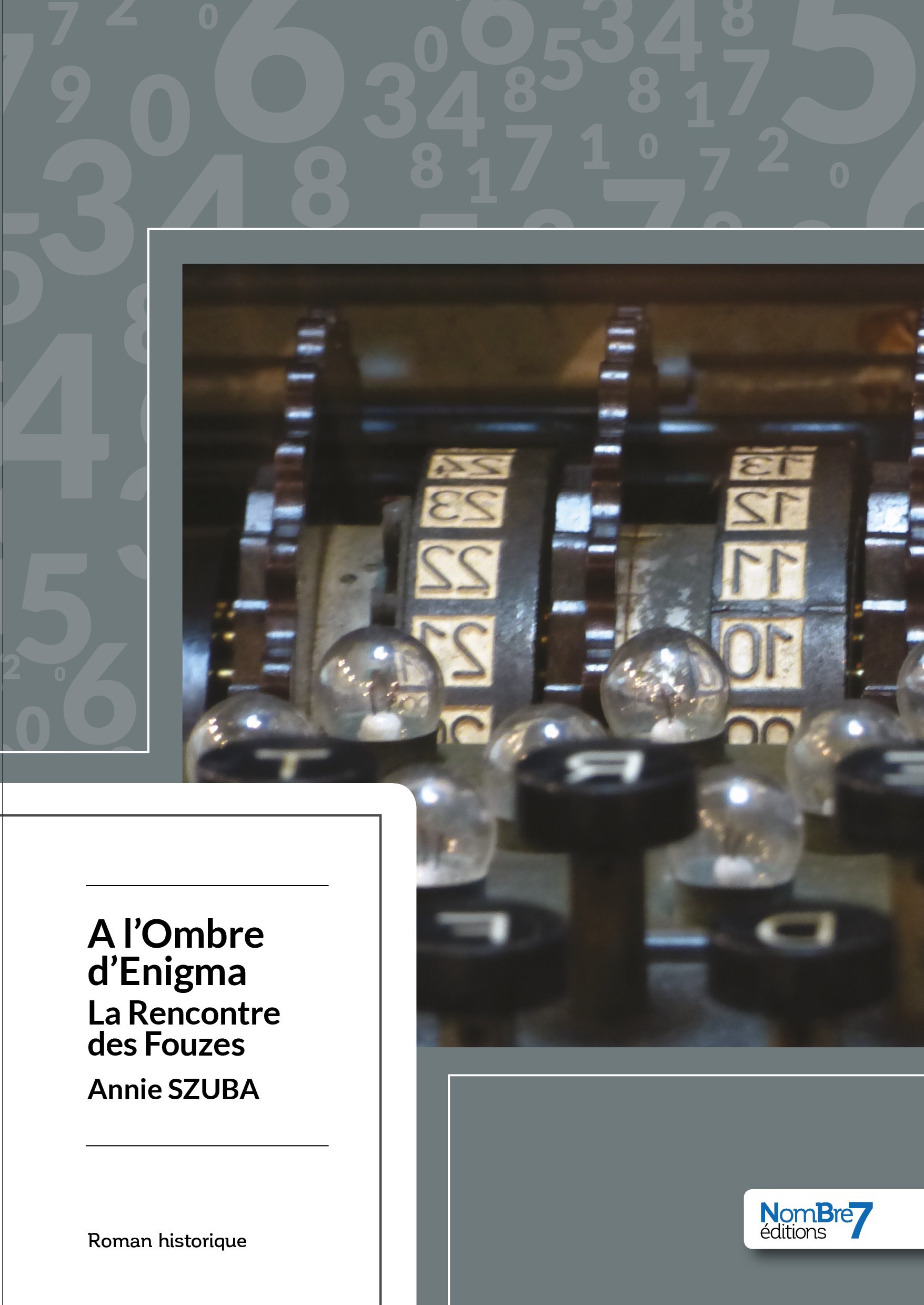 ebook cover of A l'Ombre d'Enigma, by Annie Szuba