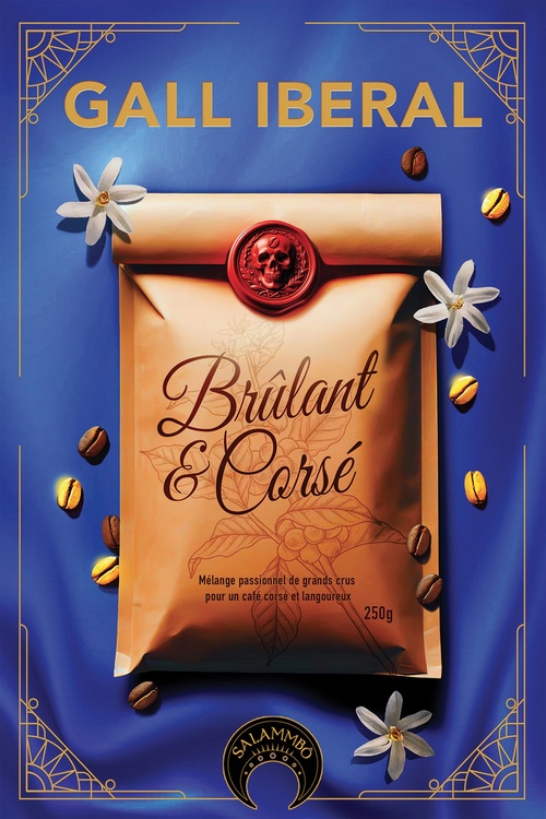 Couverture ebook de Brûlant et corsé, de Gall Ibéral
