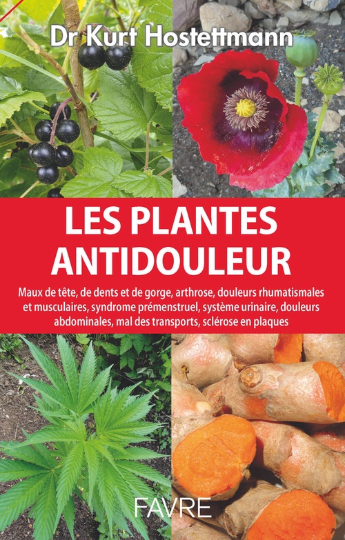 ebook cover of Plantes antidouleur - Maux de tête, de dents et de gorge, arthrose, douleurs rhumatismales et muscul, by Kurt Hostettmann