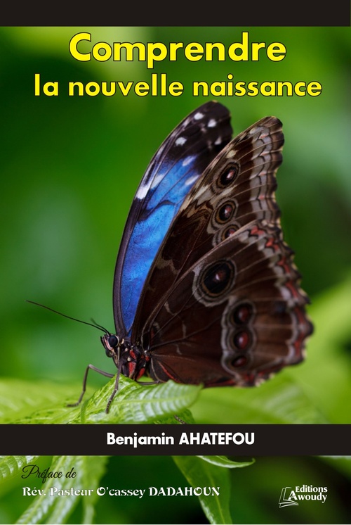ebook cover of Comprendre la nouvelle naissance, by Benjamin Ahatefou