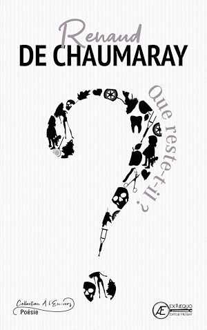 Couverture ebook de Que reste-t-il ?, de Chaumaray Renaud De