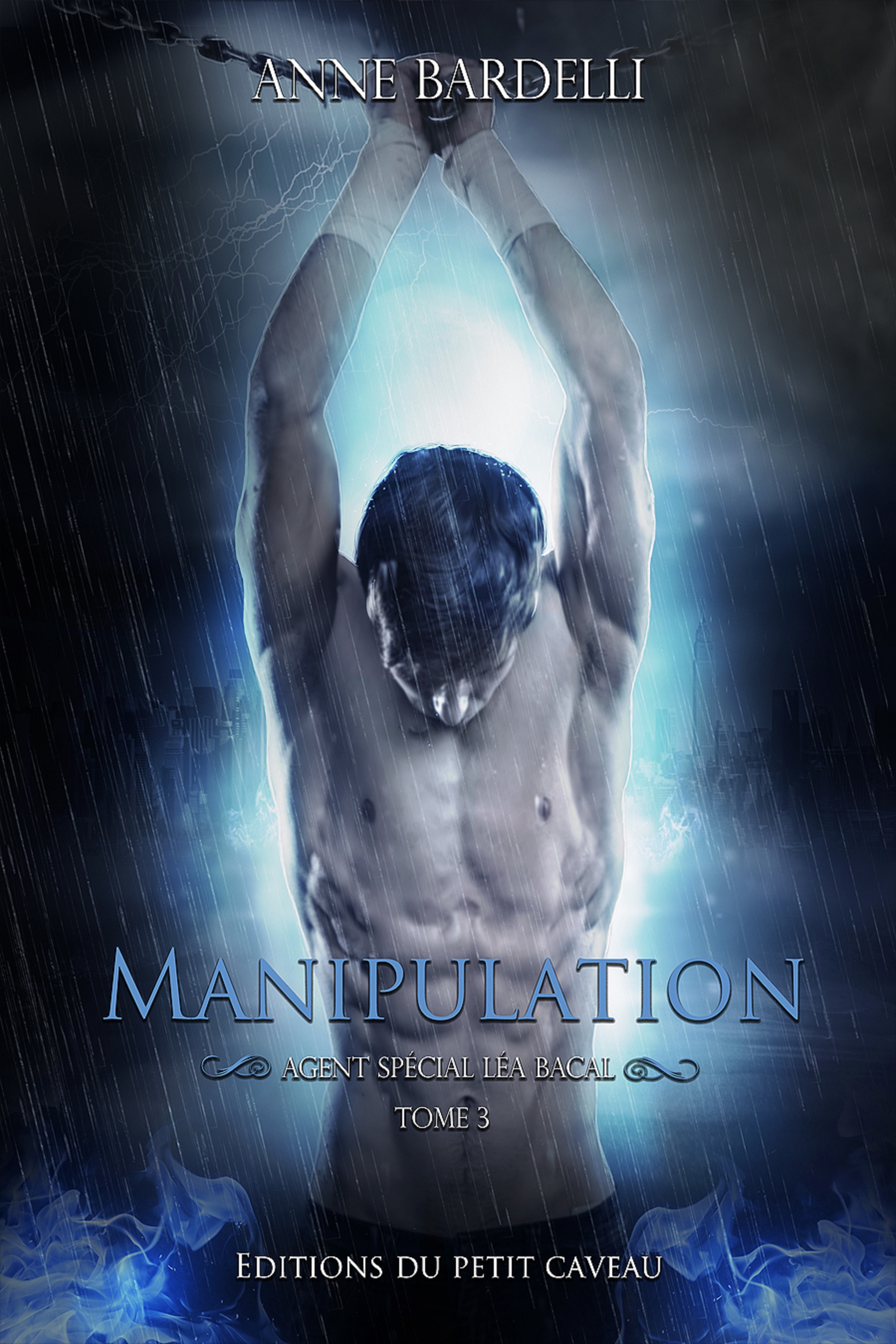 ebook cover of Manipulation, by Anne Bardelli