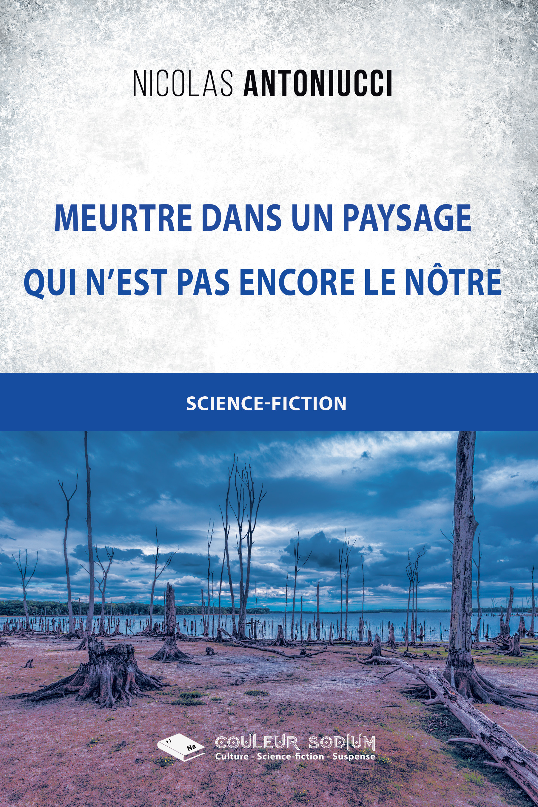 Couverture ebook de Meurtre dans un paysage qui n'est pas encore le nôtre, de N Antoniucci