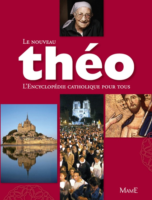 ebook cover of Le nouveau Théo, by Dubost/Lalanne