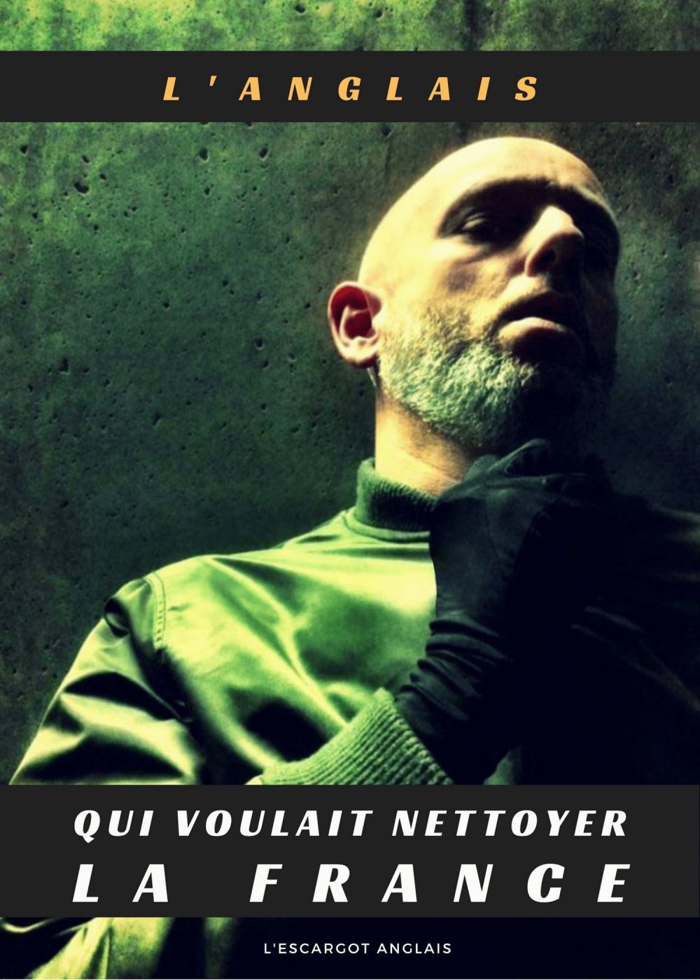 ebook cover of L'Anglais qui voulait nettoyer la France, by Natacha Neveu, Edmund Platt