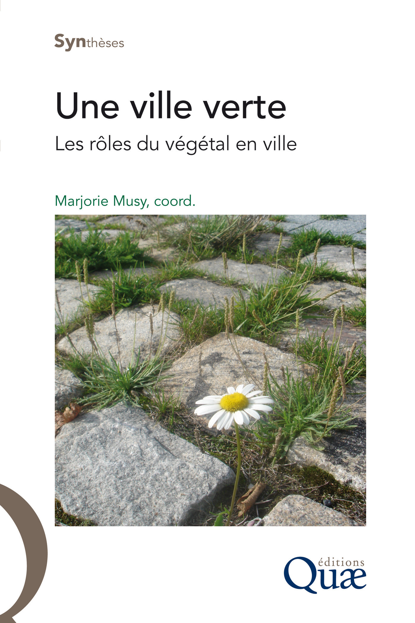 Couverture ebook de Une ville verte, de Marjorie Musy