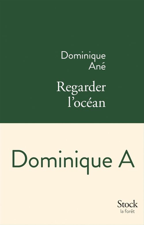 Couverture ebook de Regarder l'océan, de Dominique A